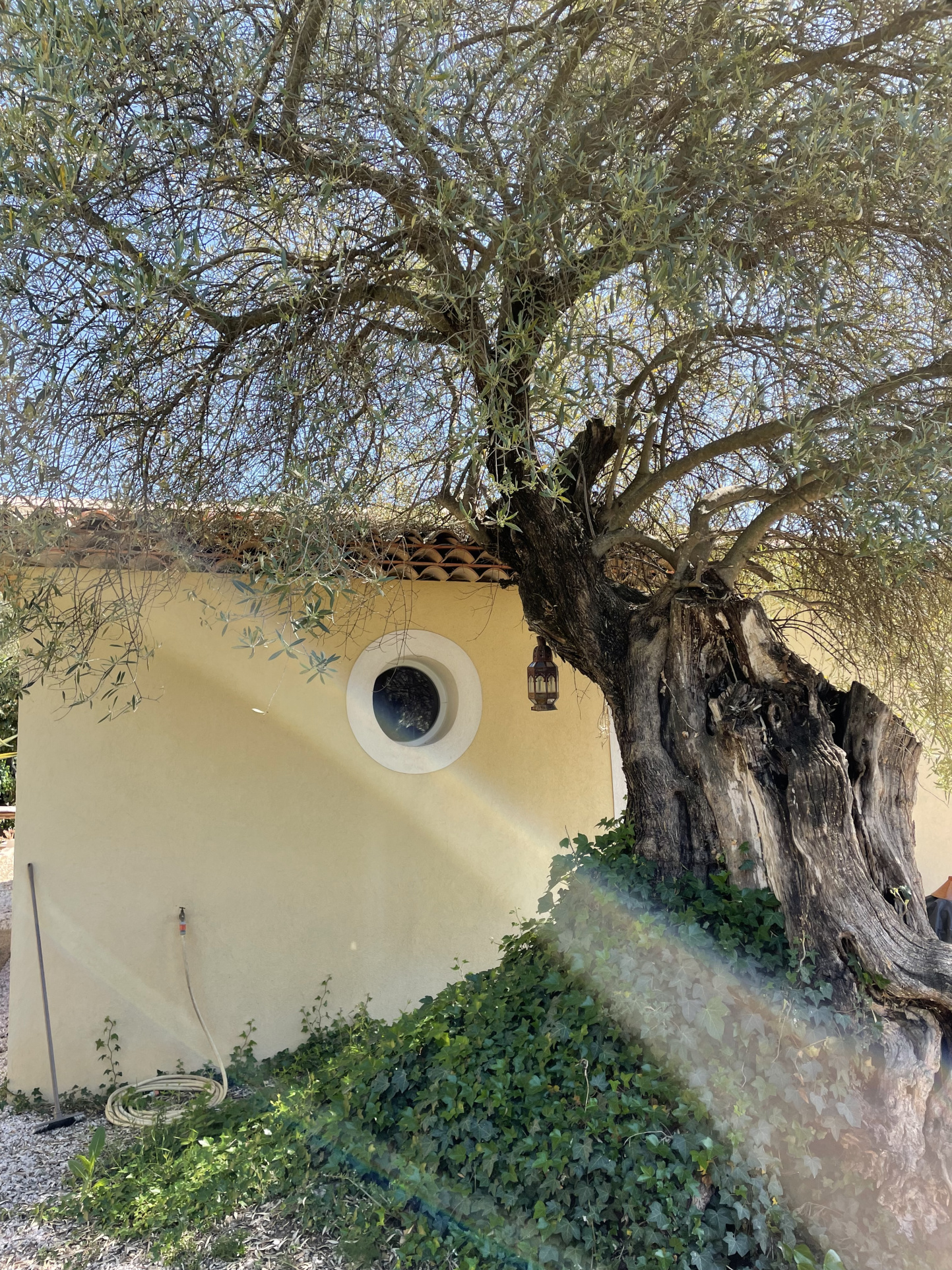 Villa d&rsquo;architecte de 221m2 9P 7Ch avec Piscine et Pool house à SOLLIES PONT. Rendement locatif important.