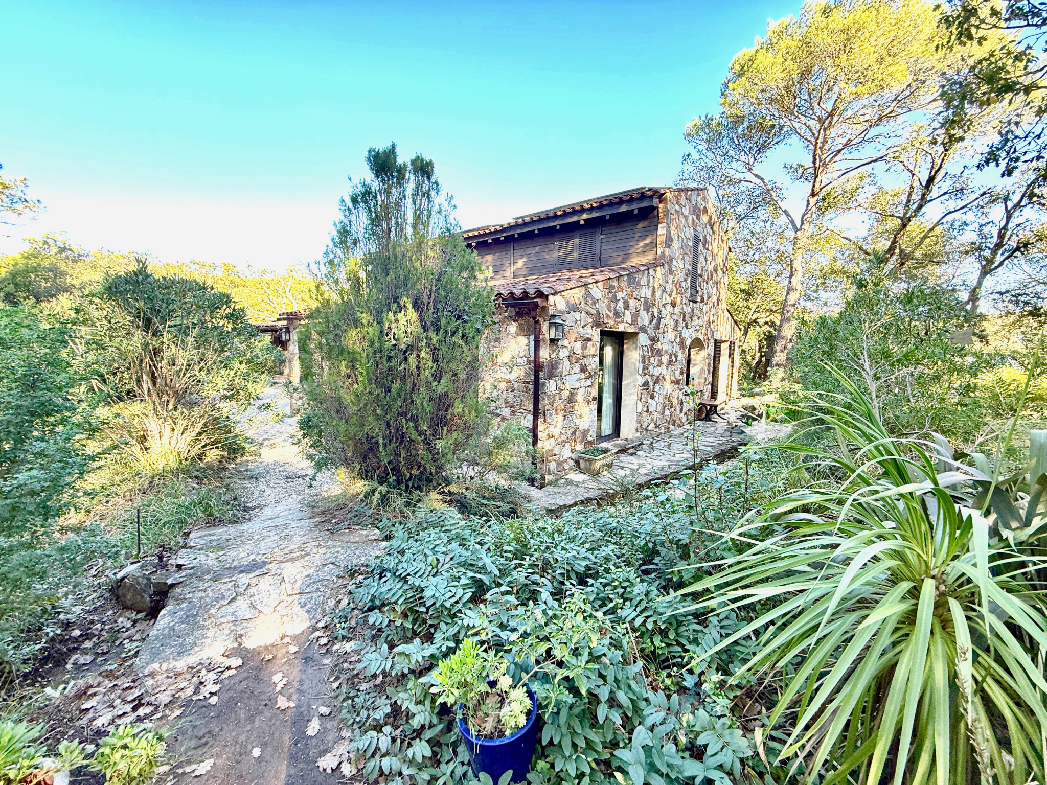 Maison ancienne avec potentiel   Terrain plat XXL et dépendances