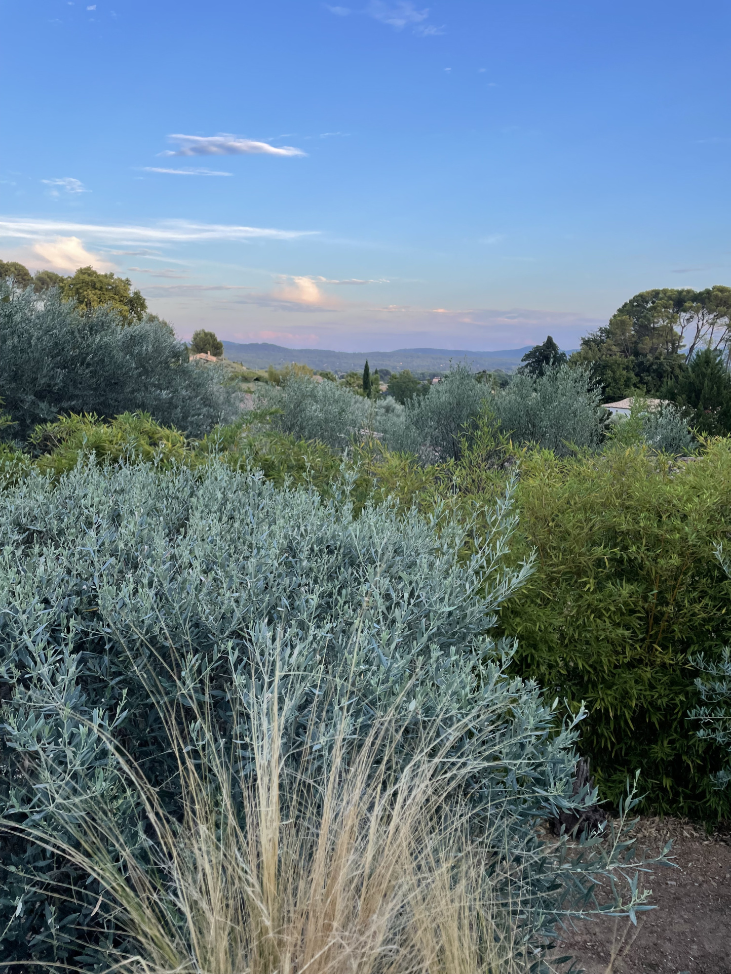 Villa d&rsquo;architecte de 221m2 9P 7Ch avec Piscine et Pool house à SOLLIES PONT. Rendement locatif important.