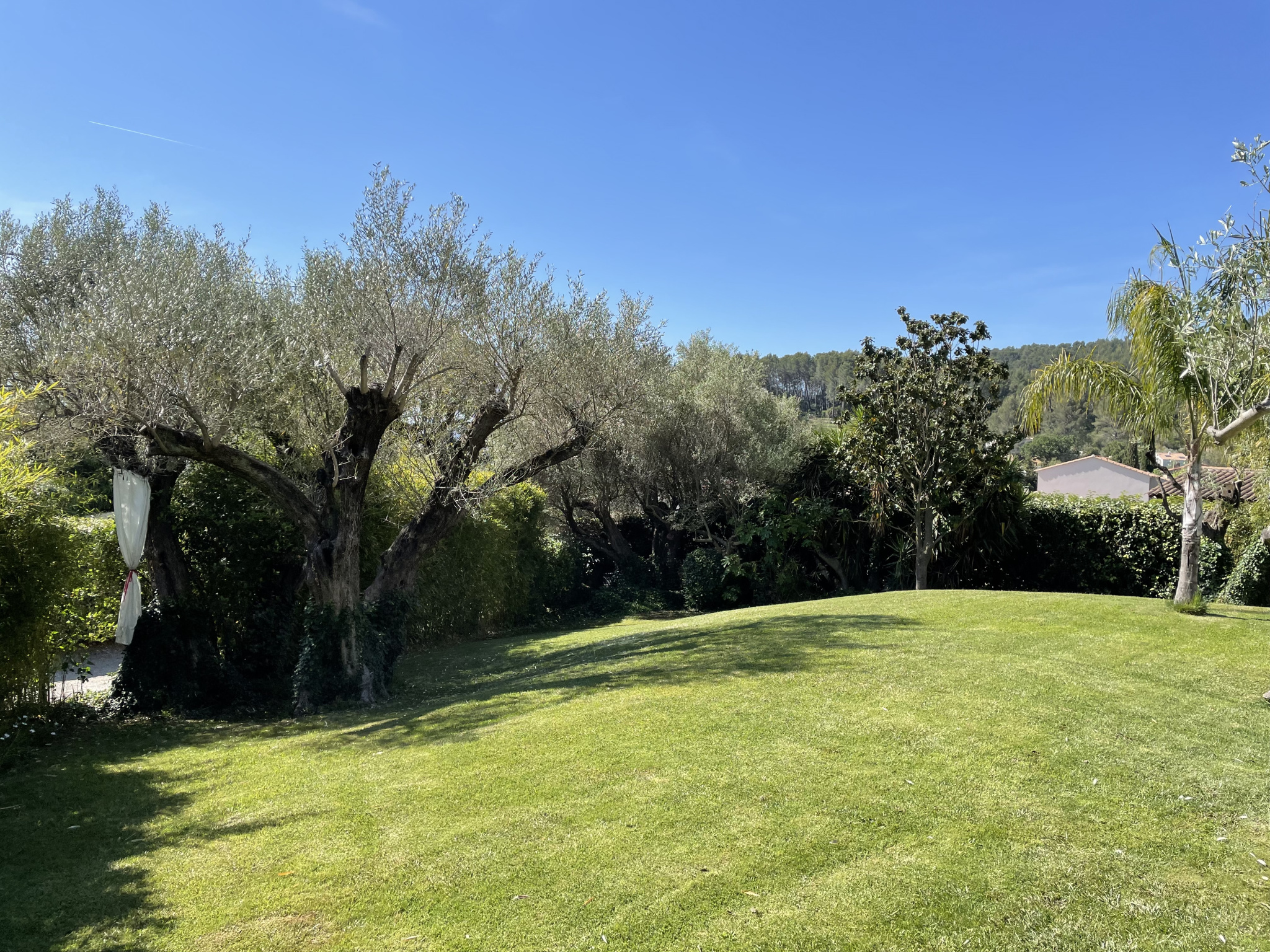 Villa d&rsquo;architecte de 221m2 9P 7Ch avec Piscine et Pool house à SOLLIES PONT. Rendement locatif important.