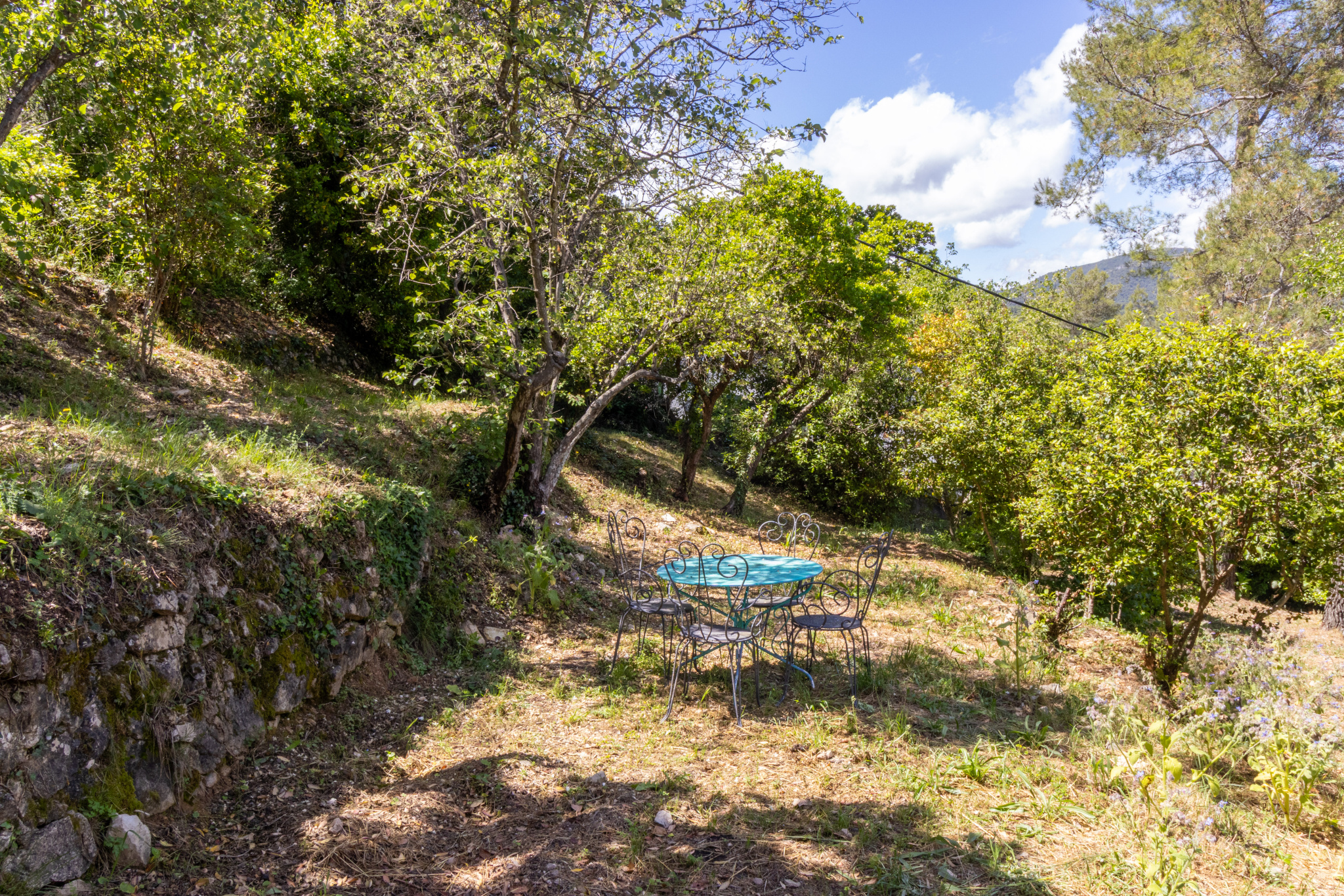 Villa avec terrain de 3000m2 et appartement indépendant