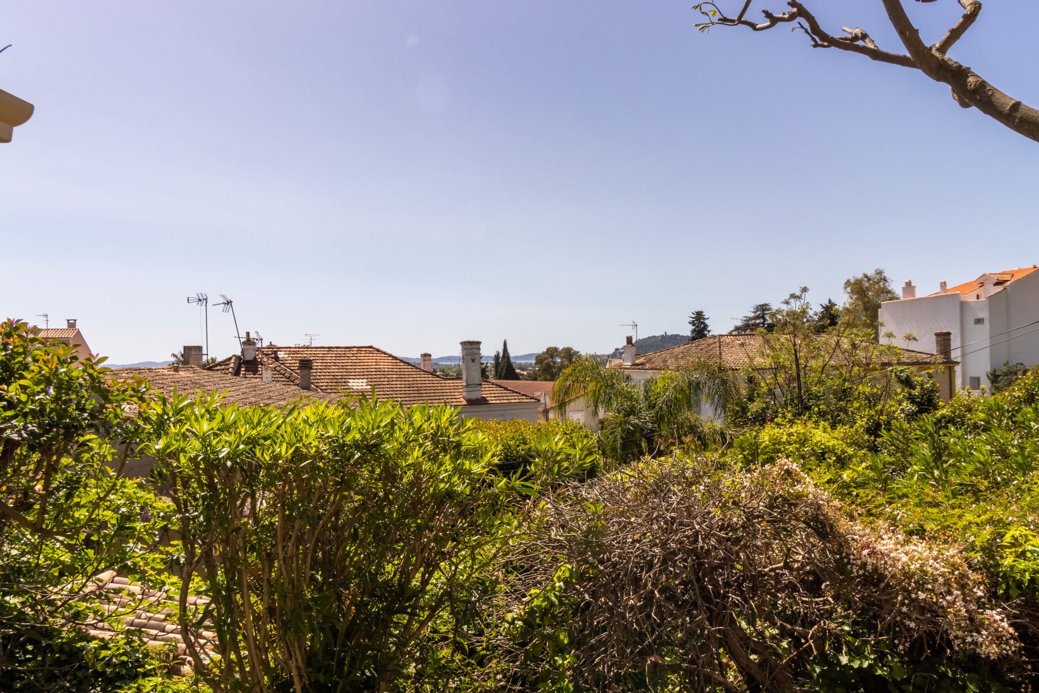 Appartement de charme, entièrement rénové, jardin.