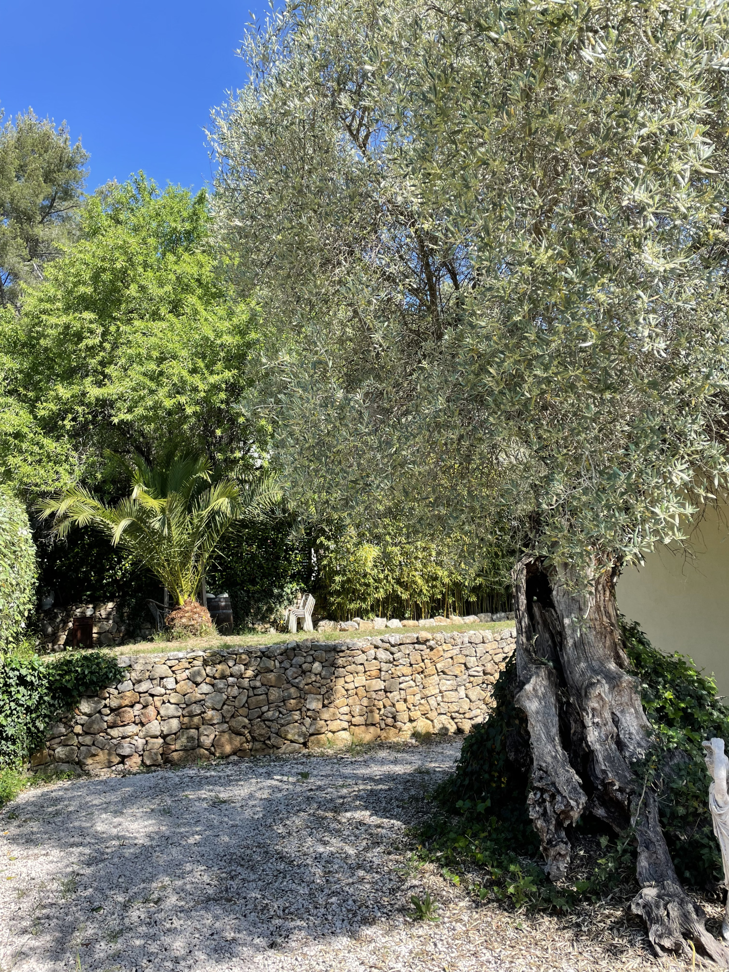 Villa d&rsquo;architecte de 221m2 9P 7Ch avec Piscine et Pool house à SOLLIES PONT. Rendement locatif important.