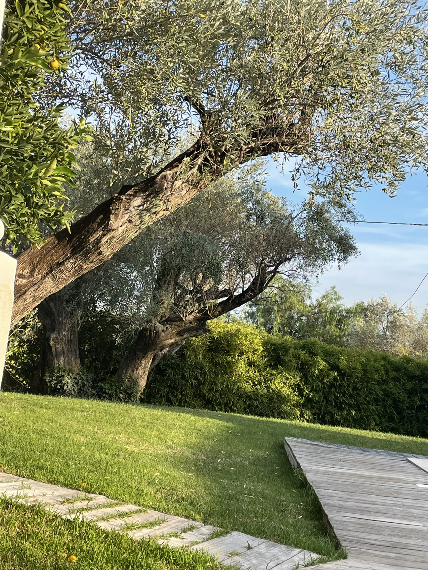 Villa d&rsquo;architecte de 221m2 9P 7Ch avec Piscine et Pool house à SOLLIES PONT. Rendement locatif important.